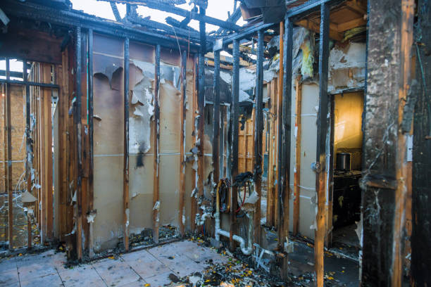 Professional Smoke Odor Removal technician working in Owings Mills, MD